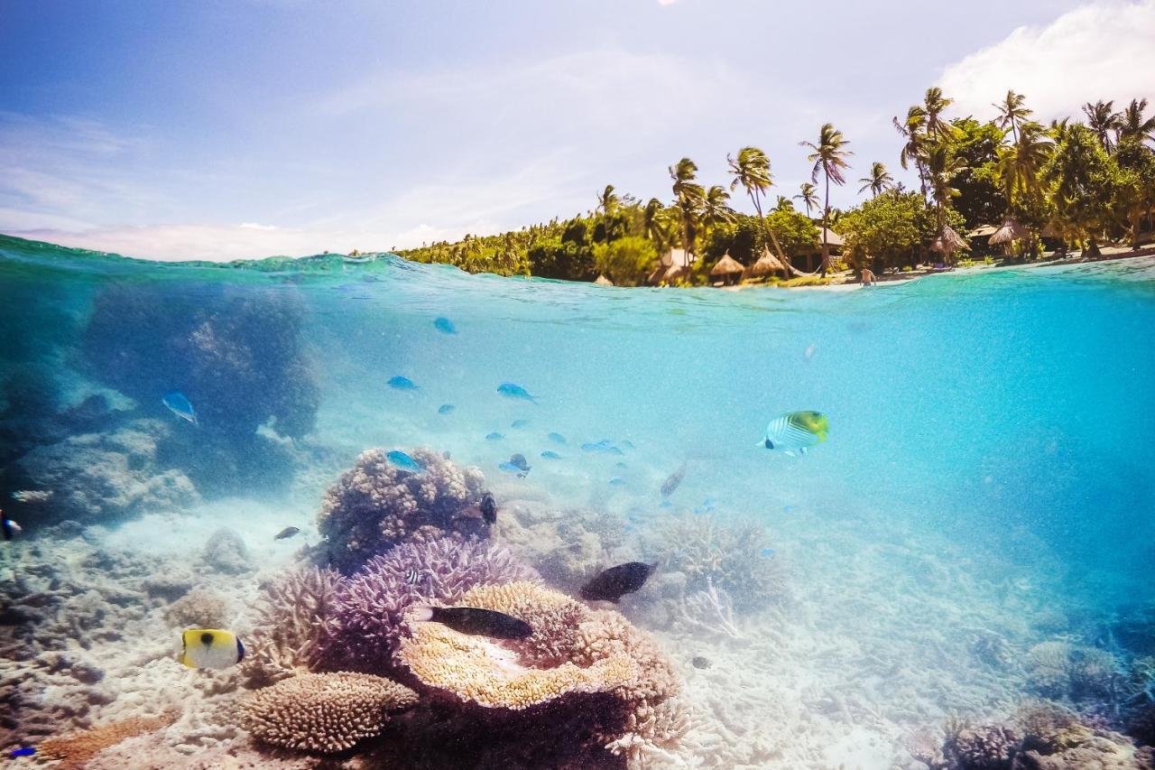 Paradise Cove Resort Naukacuvu Island Eksteriør bilde